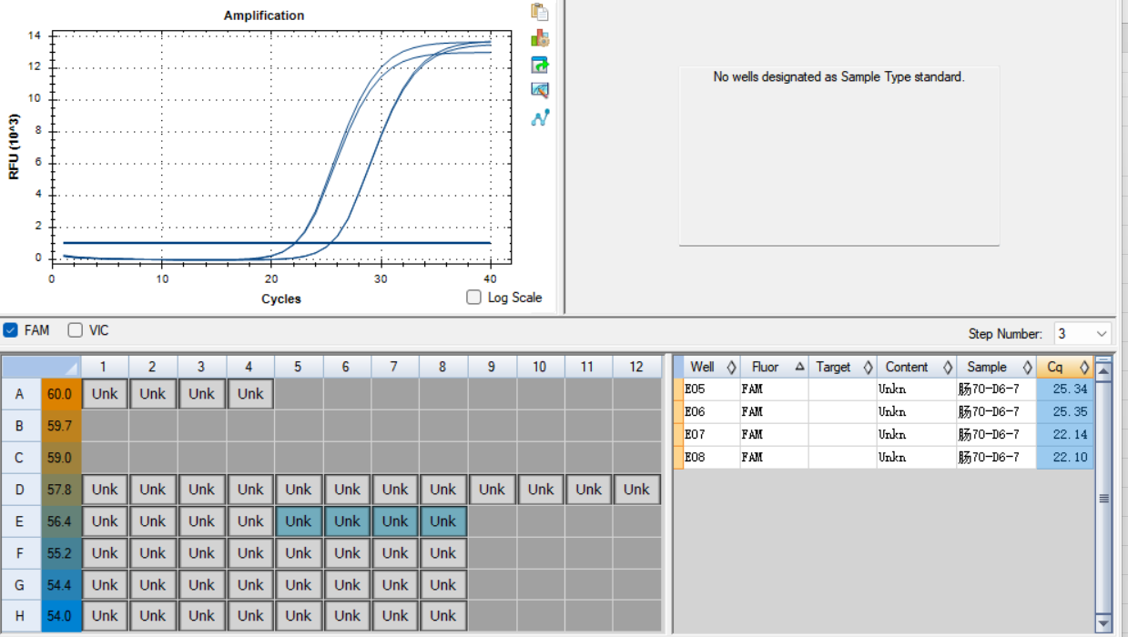 Human enterovirus 70 RNA standard-BNCC