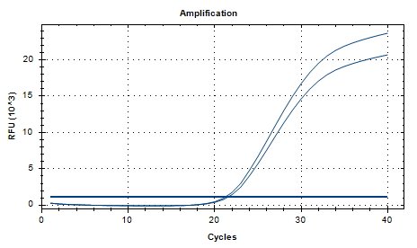 Indoor quality control product of deoxyribonucleic acid liquid for infant subspecies of Bifidobacterium longum-BNCC