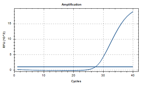 Indoor quality control product for deoxyribonucleic acid of infant subspecies of Bifidobacterium longum-BNCC