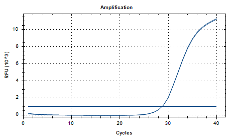 Indoor quality control product for deoxyribonucleic acid liquid of Bifidobacterium longum subsp.-BNCC