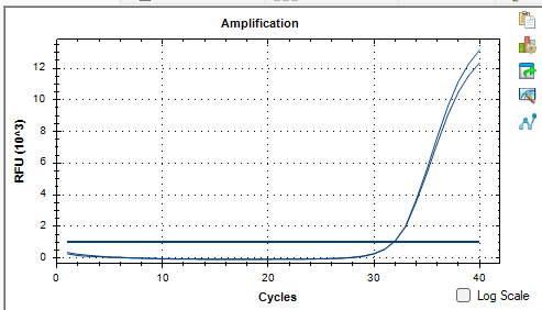 Lactobacillus delbrueckii subsp. bulgaricus DNA Liquid In-House Quality Control Material-BNCC