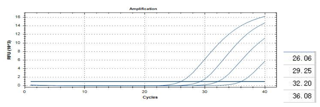 Bifidobacterium breve Nucleic Acid Detection Kit (Fluorescent PCR Method)-BNCC