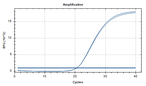 Canine Herpesvirus Type 1 DNA Standard-BNCC