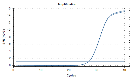 Escherichia coli DNA Standard-BNCC
