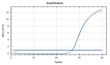 Streptococcus agalactiae DNA Standard-BNCC