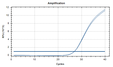 Tropical Candida DNA standard-BNCC