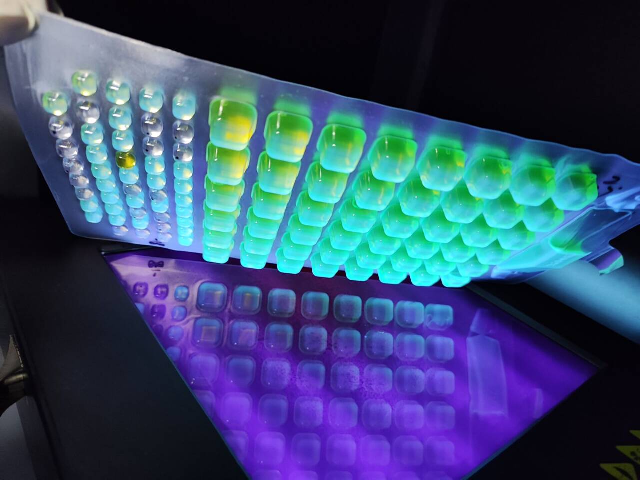 Water quality enzyme substrate method quality control sample-BNCC