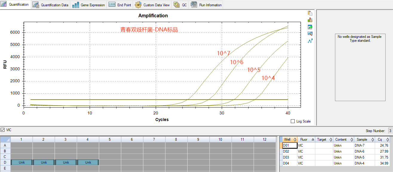 Youthful Bifidobacterium DNA standard-BNCC