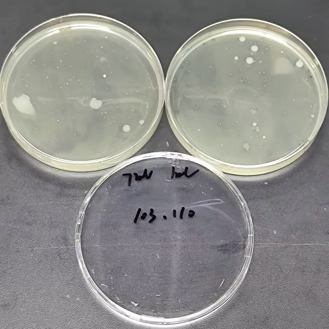 Total Colony Count Standard Material for Water Quality-BNCC
