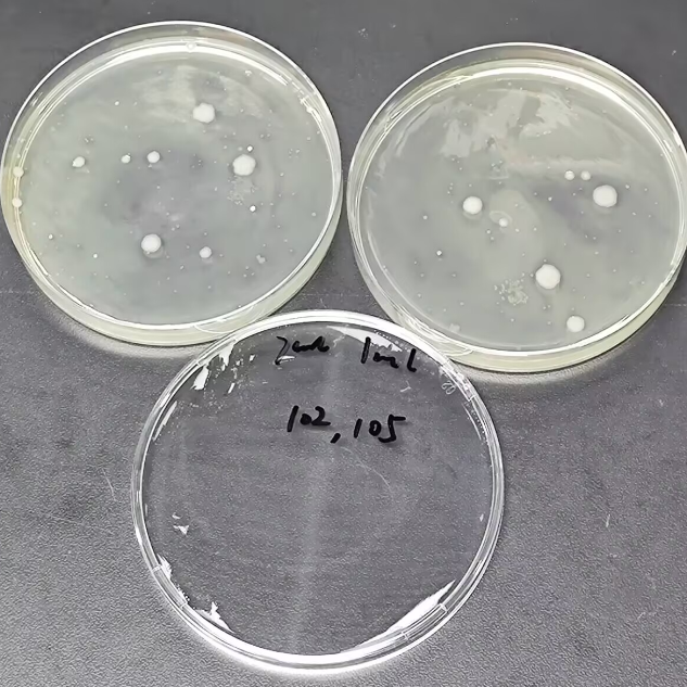 Total Colony Count Standard Material for Water Quality-BNCC