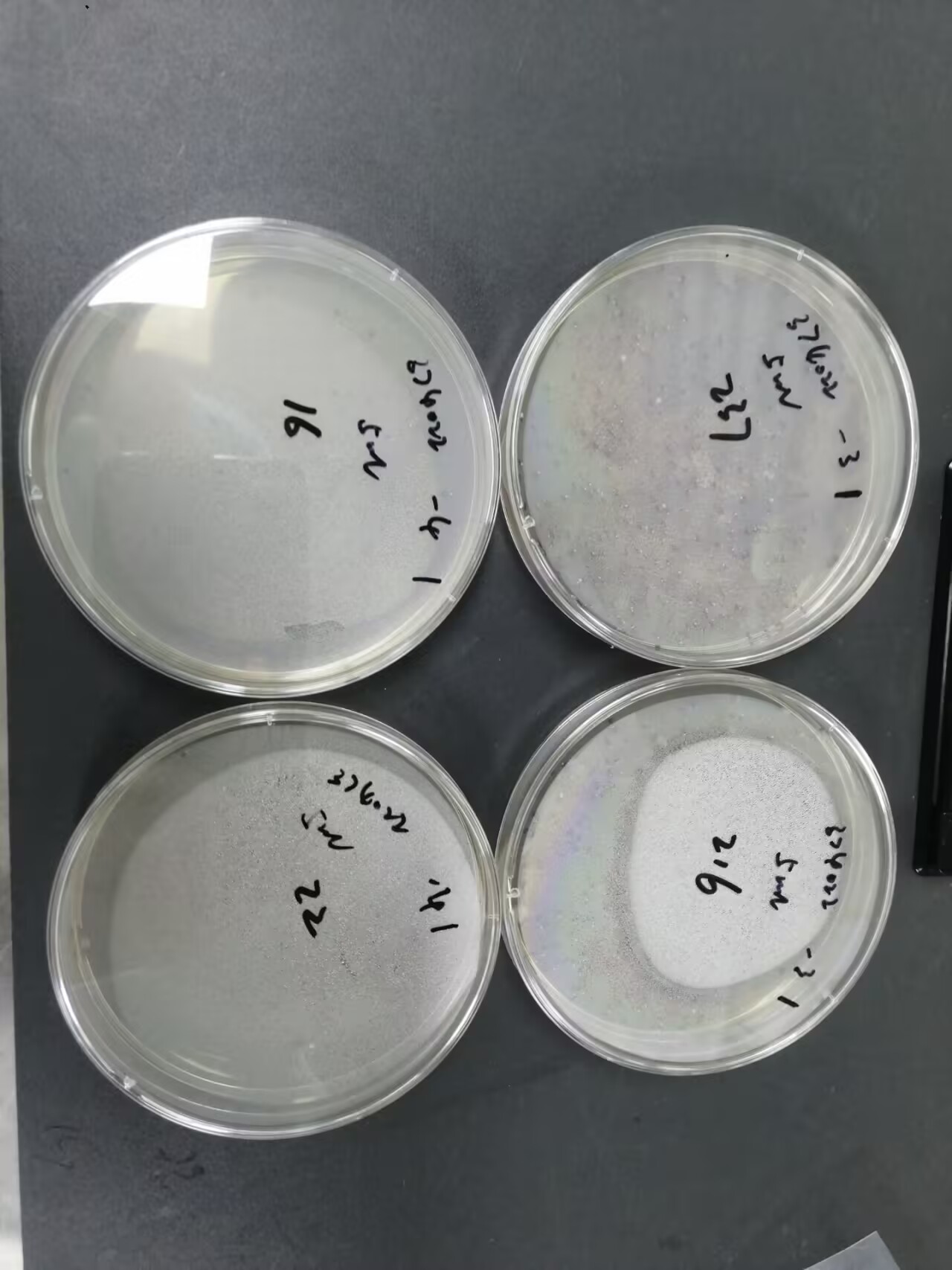 Total Colony Count Standard Material for Water Quality-BNCC