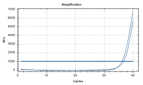 Prevotella melaninogenica DNA Liquid Room Control Material-BNCC