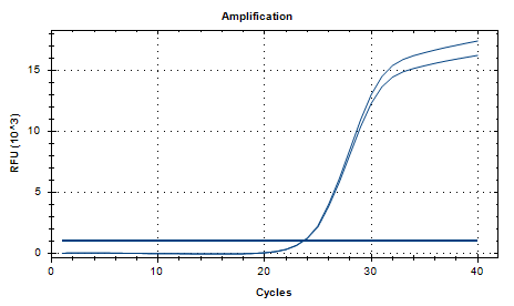 Escherichia coli DNA Standard-BNCC