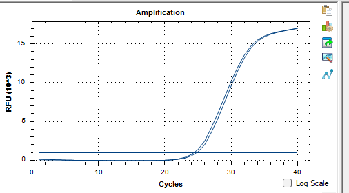 Dual-Pathway Prevotella DNA Standard-BNCC