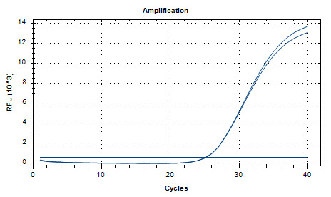 Polymorphic Bacteroides deoxyribonucleic acid liquid indoor quality control product-BNCC