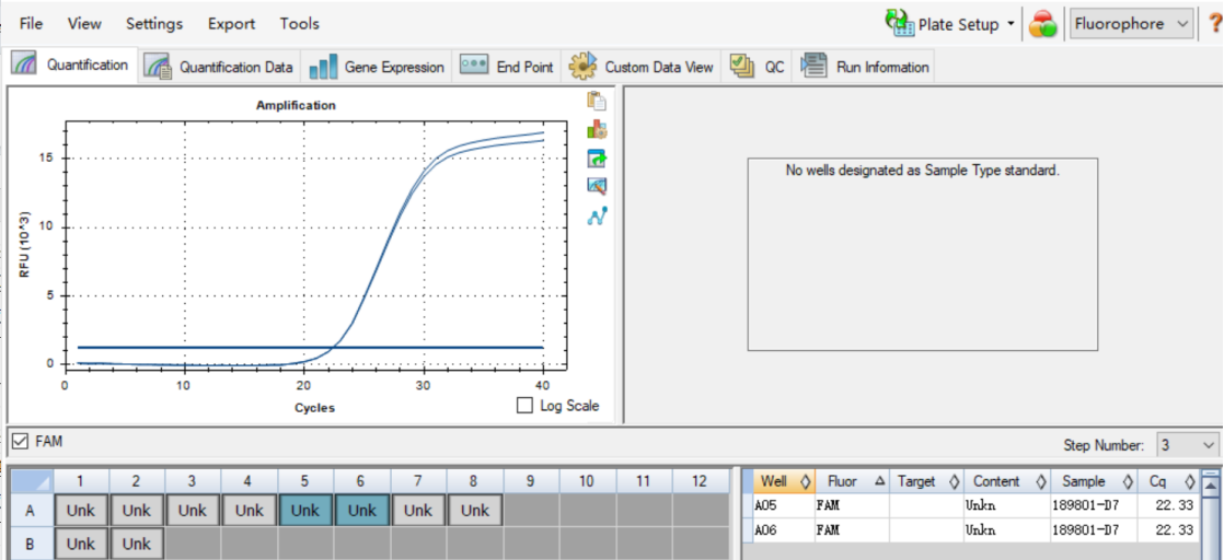 Short Lactobacillus DNA standard-BNCC