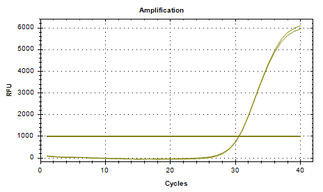 Indoor quality control product for Staphylococcus epidermidis deoxyribonucleic acid liquid-BNCC