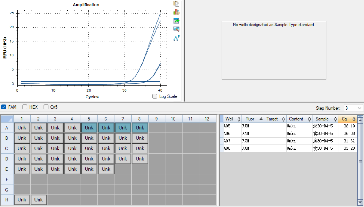 Picornaviridae, Enterovirus, Human enterovirus B RNA standard-BNCC