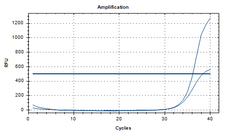 Human Coronavirus 229E RNA Standard-BNCC