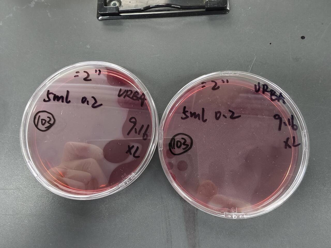 Total coliform count standard substance in water quality-BNCC