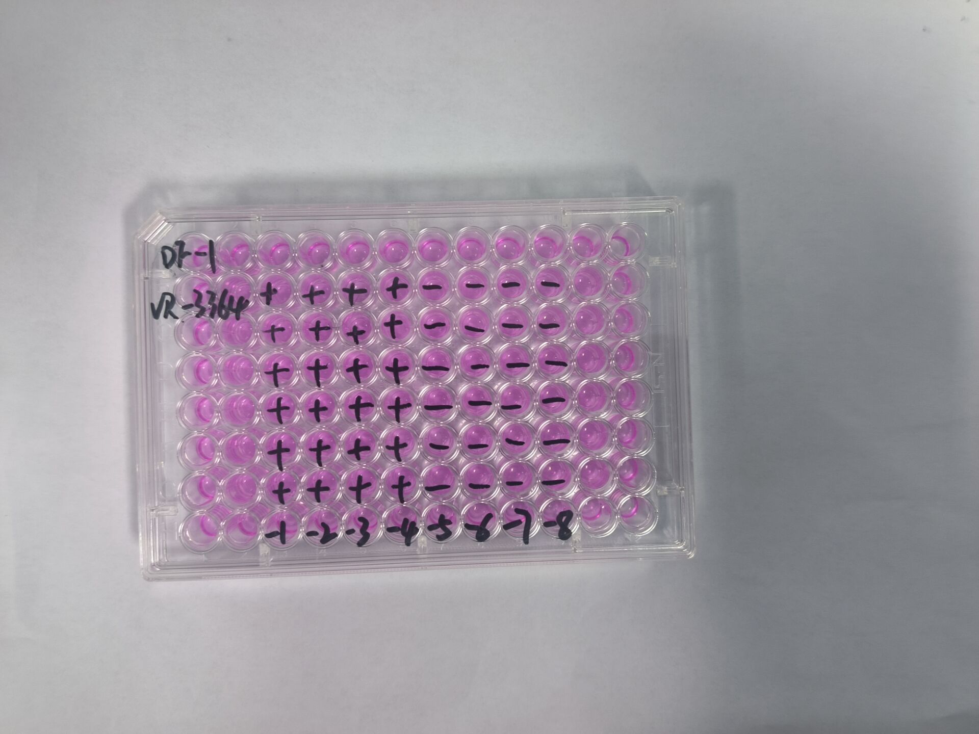 Avian reovirus-BNCC