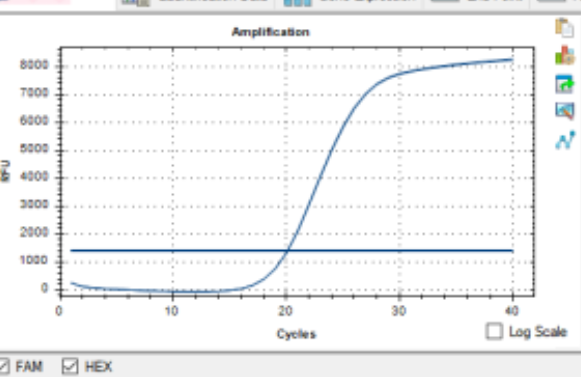 Respiratory syncytial virus-BNCC