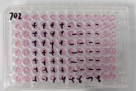 Equine herpesvirus-BNCC