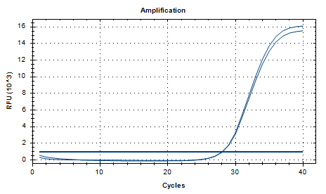Indoor quality control product for deoxyribonucleic acid liquid of Corynebacterium ulcerans-BNCC