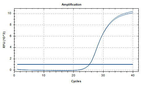 Indoor quality control product for deoxyribonucleic acid liquid of Corynebacterium ulcerans-BNCC