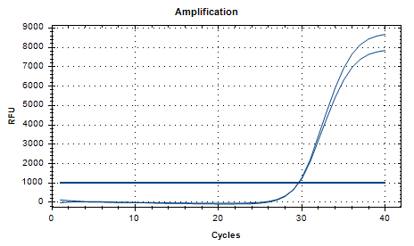 Indoor quality control sample of deoxyribonucleic acid liquid of Veillonella parvula-BNCC