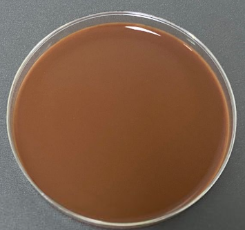 Neisseria gonorrhoeae nucleic acid reference substance (Heat-inactivated) (strongly positive)-BNCC