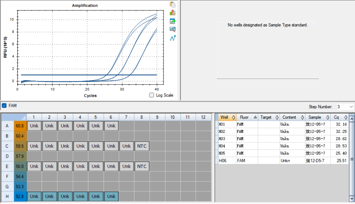 Human echovirus 12 RNA standard-BNCC