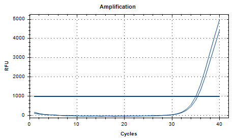 Type B Salmonella paratyphi DNA standard-BNCC