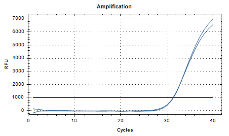 Staphylococcus aureus DNA standard-BNCC