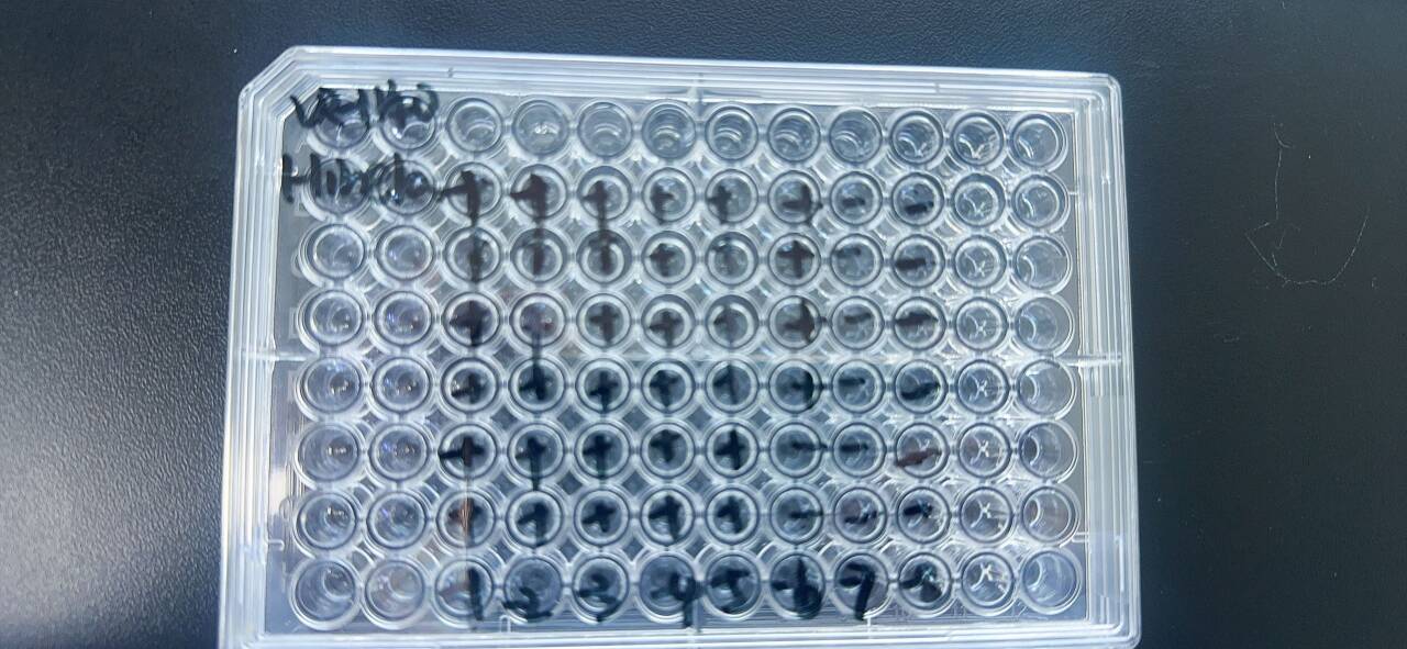 Human rhinovirus 4-BNCC