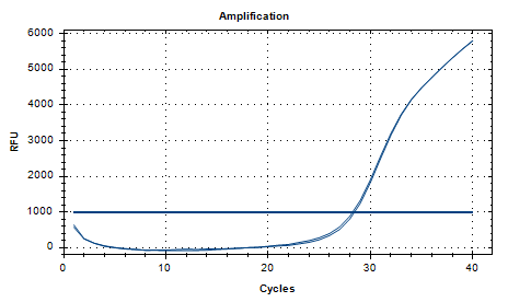Mycobacterium bovis DNA standard-BNCC