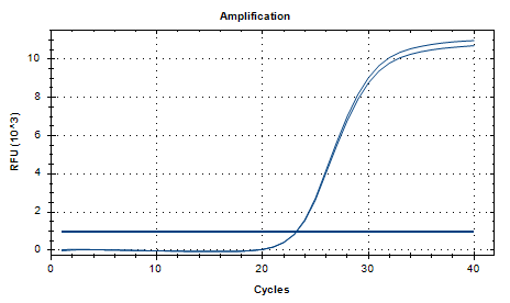 Neisseria gonorrhoeae DNA Liquid In-House Quality Control Material-BNCC