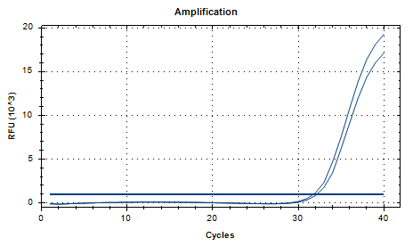 Chlamydia trachomatis D-type DNA Standard-BNCC