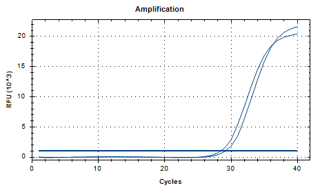 Chlamydia trachomatis D-type DNA Standard-BNCC