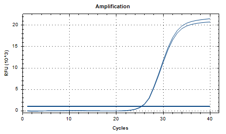 Chlamydia trachomatis D-type DNA Reference Material-BNCC