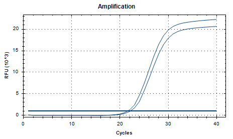 Chlamydia trachomatis D-type DNA Standard-BNCC