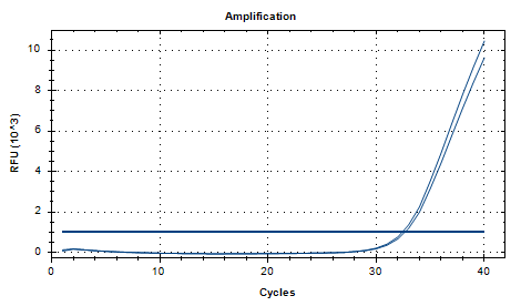 Porphyromonas gingivalis DNA Liquid Room-Temperature Internal Quality Control Material-BNCC