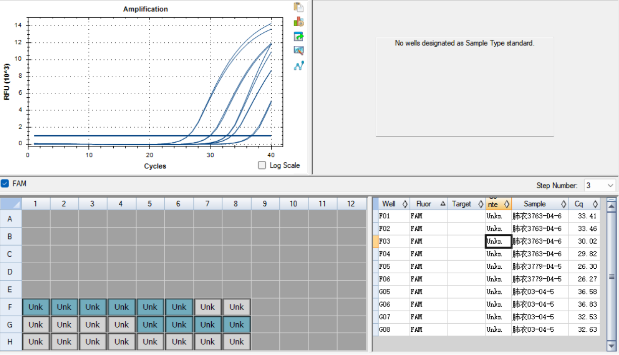 Chlamydia pneumoniae DNA standard-BNCC