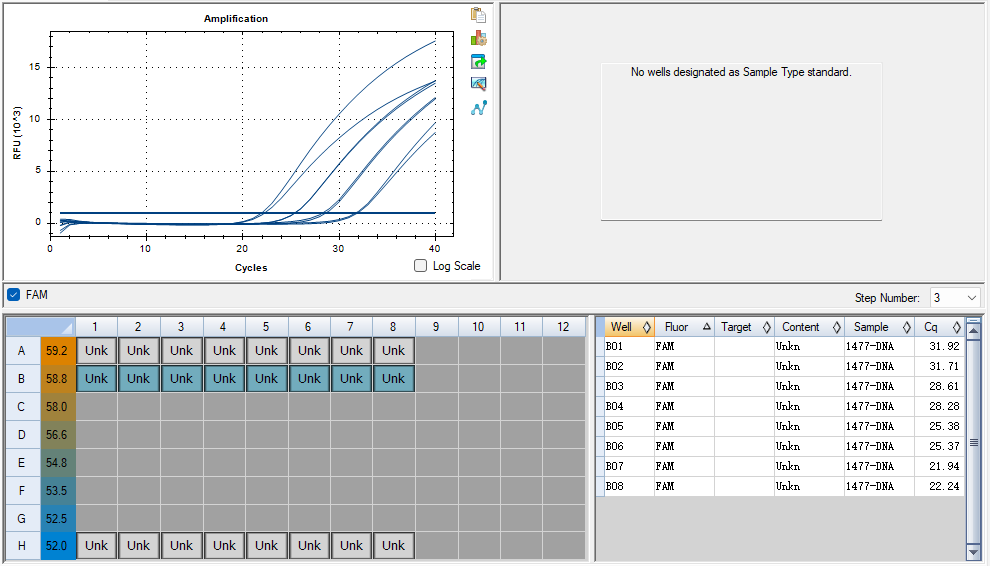 Chlamydia trachomatis C-type DNA Standard-BNCC
