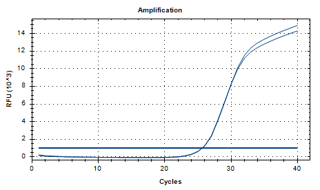 Aspergillus nidulans DNA Liquid Internal Quality Control Material-BNCC