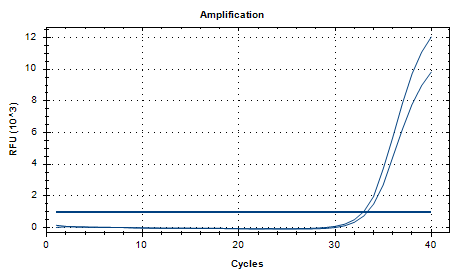 Aspergillus nidulans DNA Liquid Internal Quality Control Material-BNCC