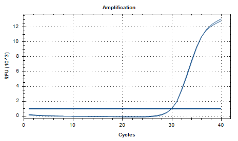 Aspergillus nidulans DNA Liquid Internal Quality Control Material-BNCC