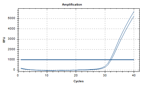 Group A Streptococcus DNA Liquid In-House Quality Control Material-BNCC
