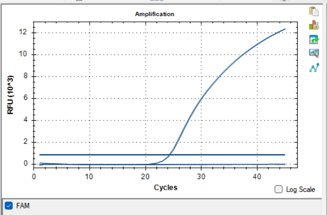 Ureaplasma urealyticum serotype 9 nucleic acid reference substance (Heat-inactivated) (strongly positive)-BNCC