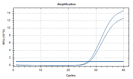 Aspergillus oryzae DNA Standard-BNCC